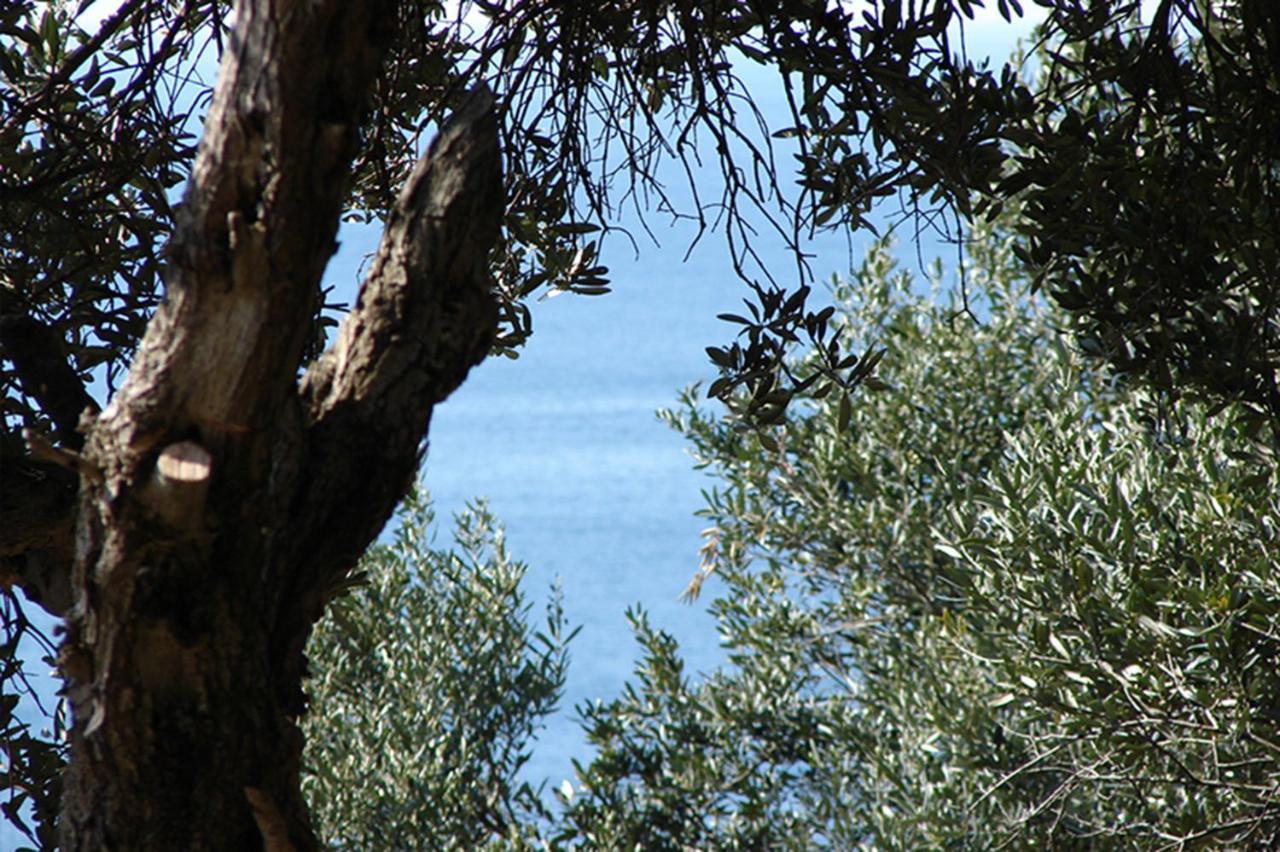 Luxury Bonbon Next To Banje Beach And Old Town, Great Location Dubrovnik Exterior photo
